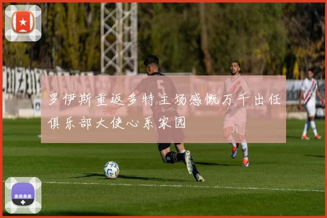 罗伊斯重返多特主场感慨万千出任俱乐部大使心系家园