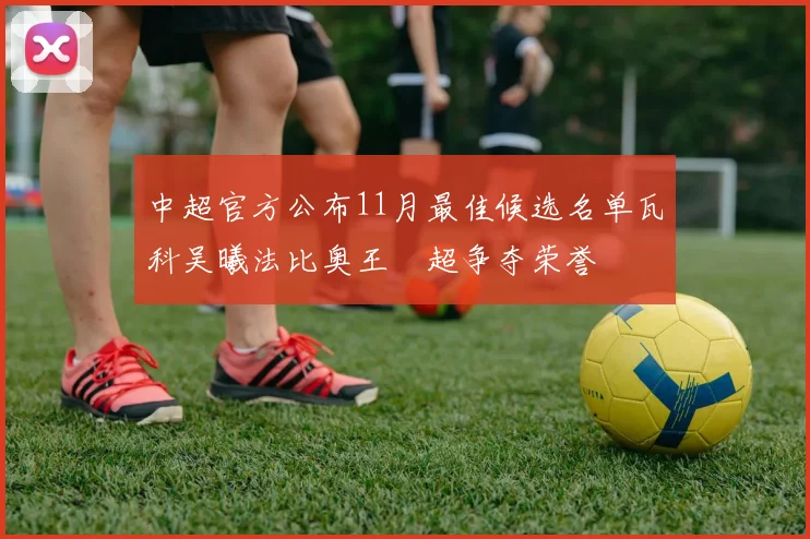 中超官方公布11月最佳候选名单瓦科吴曦法比奥王燊超争夺荣誉