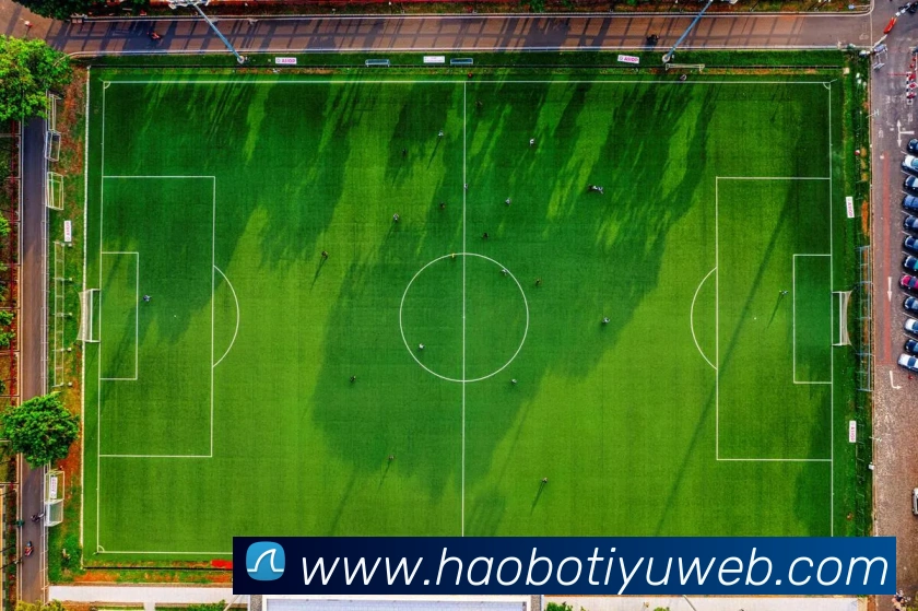 App Interface Preview