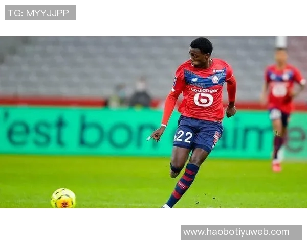 里尔老板谈戴维特点与热格罗瓦恢复进展的最新动态